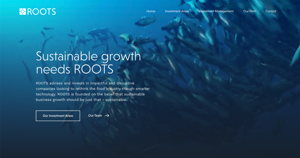 Roots Invest VC website